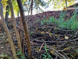 Rőzsegát a rézsüre