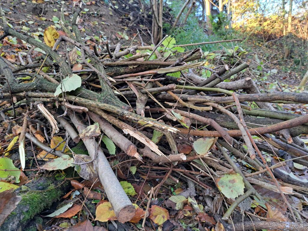 Rőzsegát- a szelíd megoldás