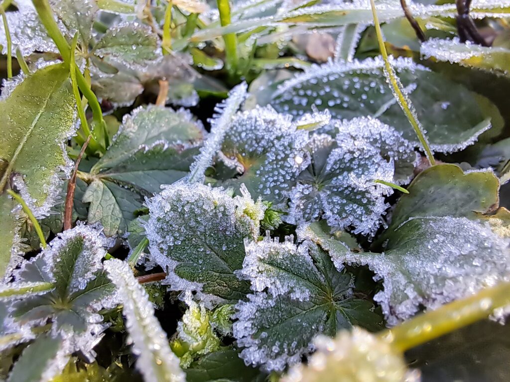 5 meglepő dolog, ami nagyon más a Balatonnál