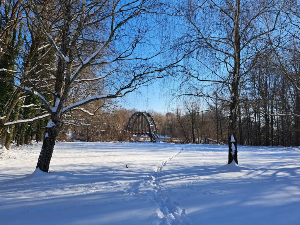 Csodálatos képek a Kányavári szigetről