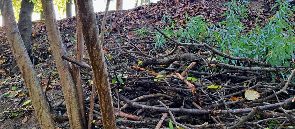 Rőzsegát a rézsüre