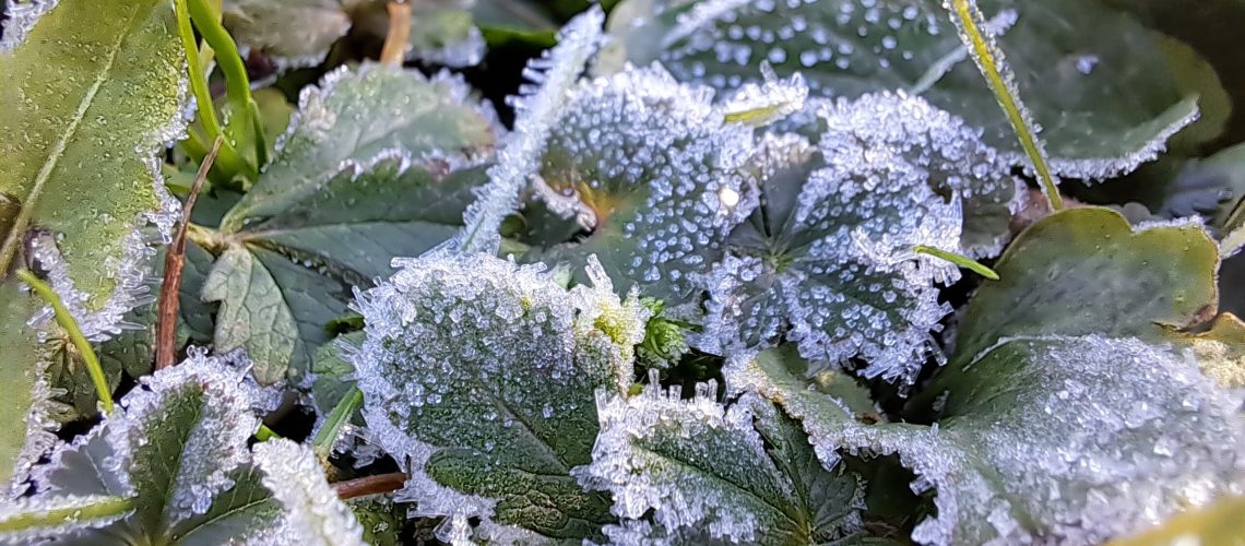 5 meglepő dolog, ami nagyon más a Balatonnál